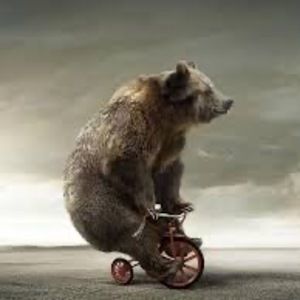 Meet your Posher, Brent